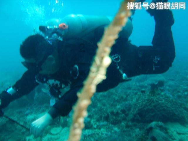 大量玩家拿到《P3R》PS5实体盘：零售商提前发货